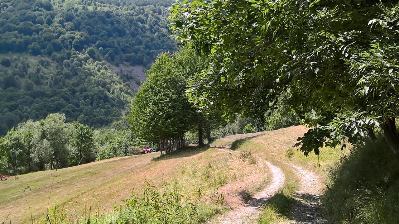 Hotel Dell' Olmo Ormea Екстер'єр фото